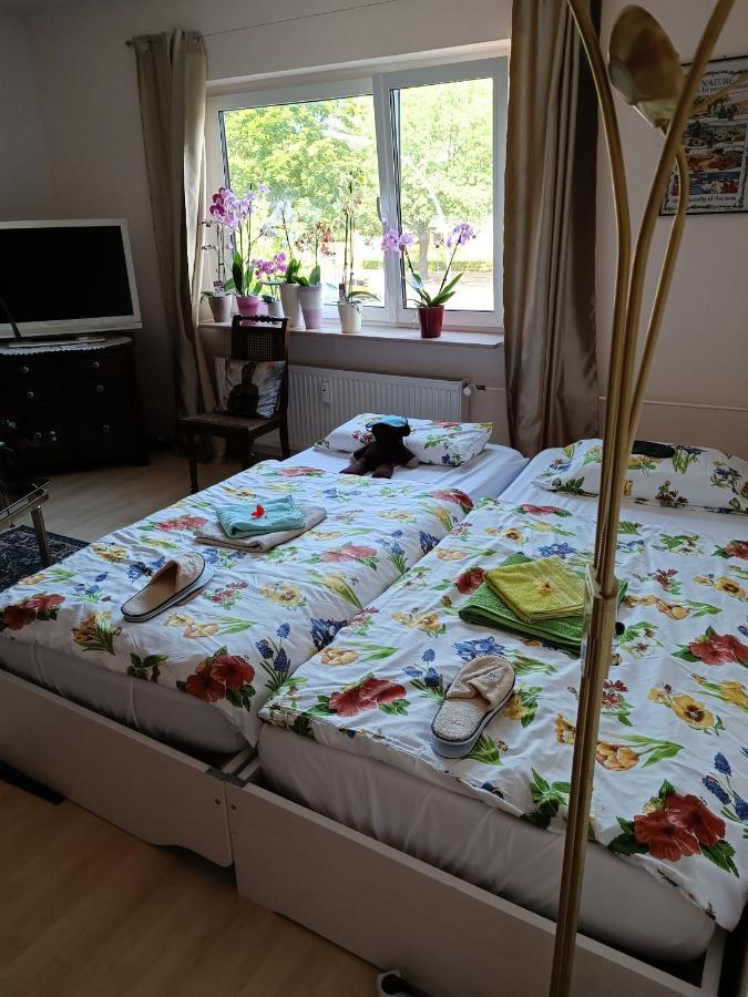 Weltoffenes Privates Gaestezimmer Bei Lgbtq Freundlichen Gastgeber Der Mit In Der Lebt Accommodatie bij particulieren